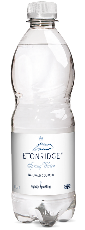 Sparkling Water 500Ml X24